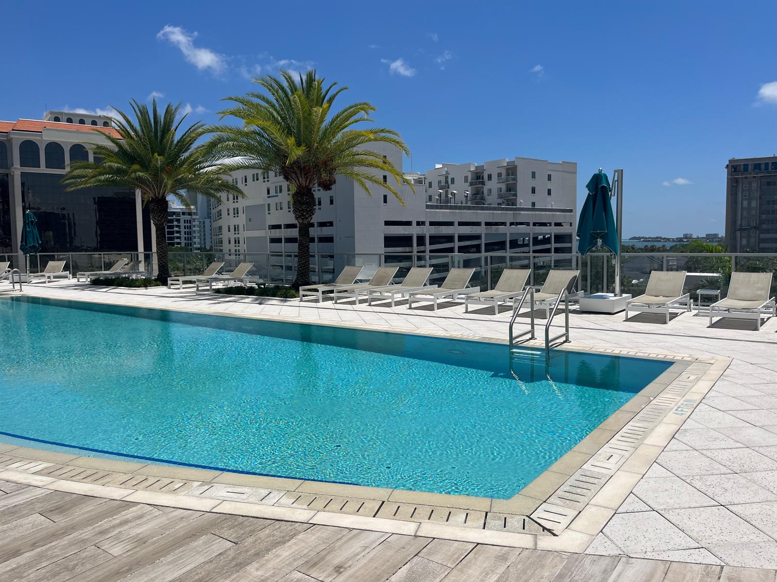 Resort-style rooftop pool with palm trees and city skyline